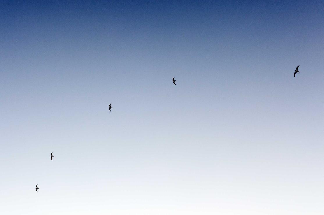 Ea occaecati enim quaerat iusto facilis