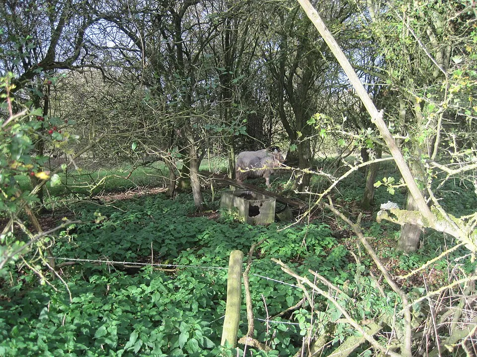 cave's inn pits fly-tipping — GB news