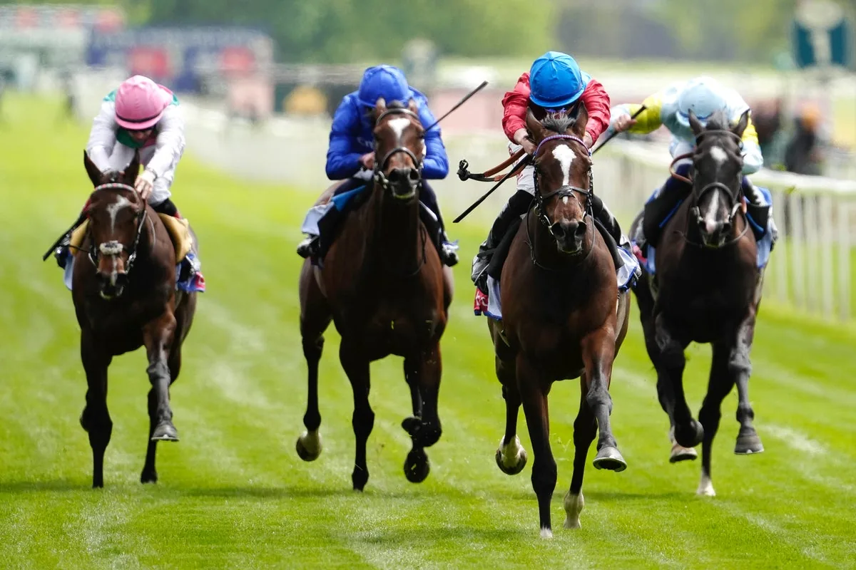 Hollie Doyle blog: Thunder can storm to Northumberland Plate success