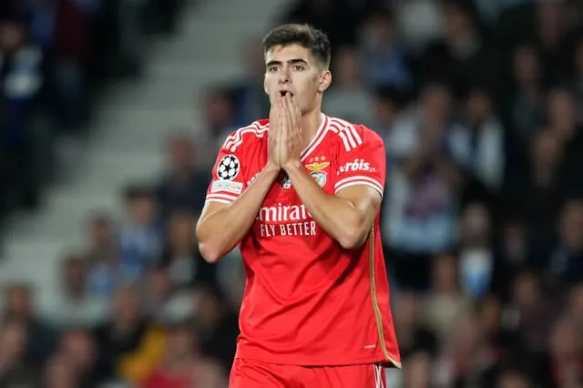 SAN SEBASTIAN, SPAIN - NOVEMBER 08: Antonio Silva of SL Benfica reacts during the UEFA Champions League match between Real Sociedad and SL Benfica at Reale Arena on November 08, 2023 in San Sebastian, Spain. (Photo by Juan Manuel Serrano Arce/Getty Images)
